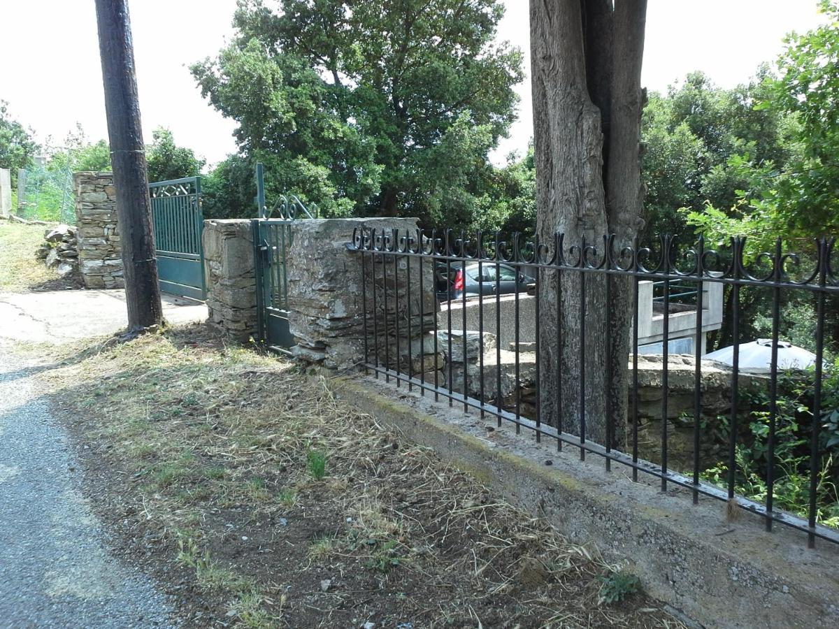 D17 Studio Pietra Exterior photo